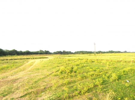 7) Li Id 222 - Pic 8.JPG